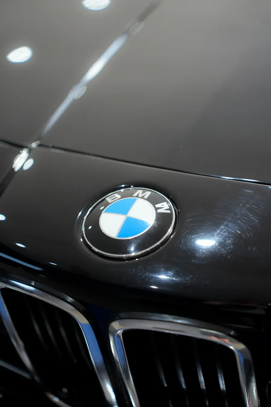 Classic BMW 6-series — Kidney grille